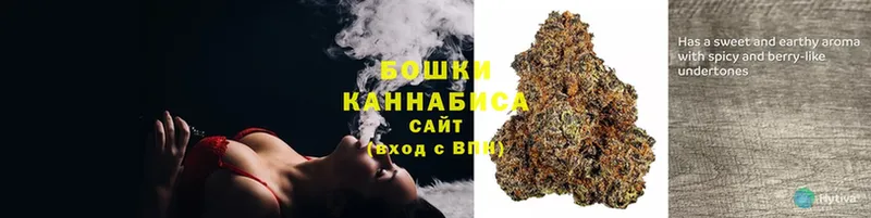 маркетплейс наркотические препараты  дарнет шоп  Чита  Канабис OG Kush 